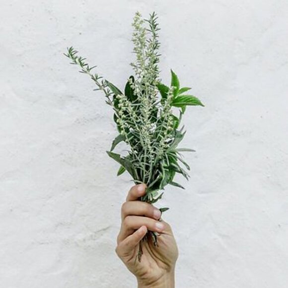 Lavender + Sage Solid Lotion Bar Handmade Natural Mango Shea Butter - Picture 3 of 3